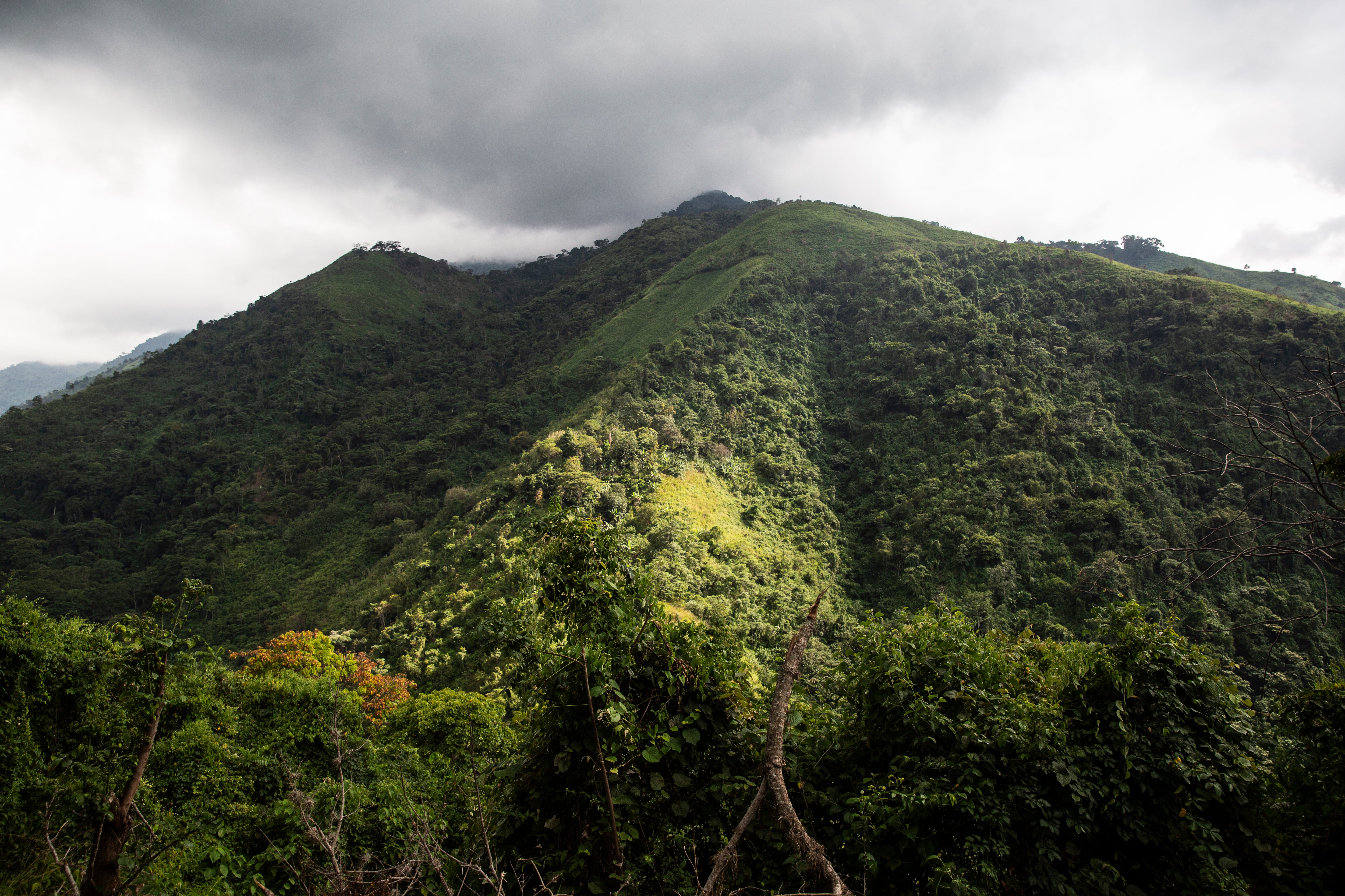 Colombie La Tierra del Olvido