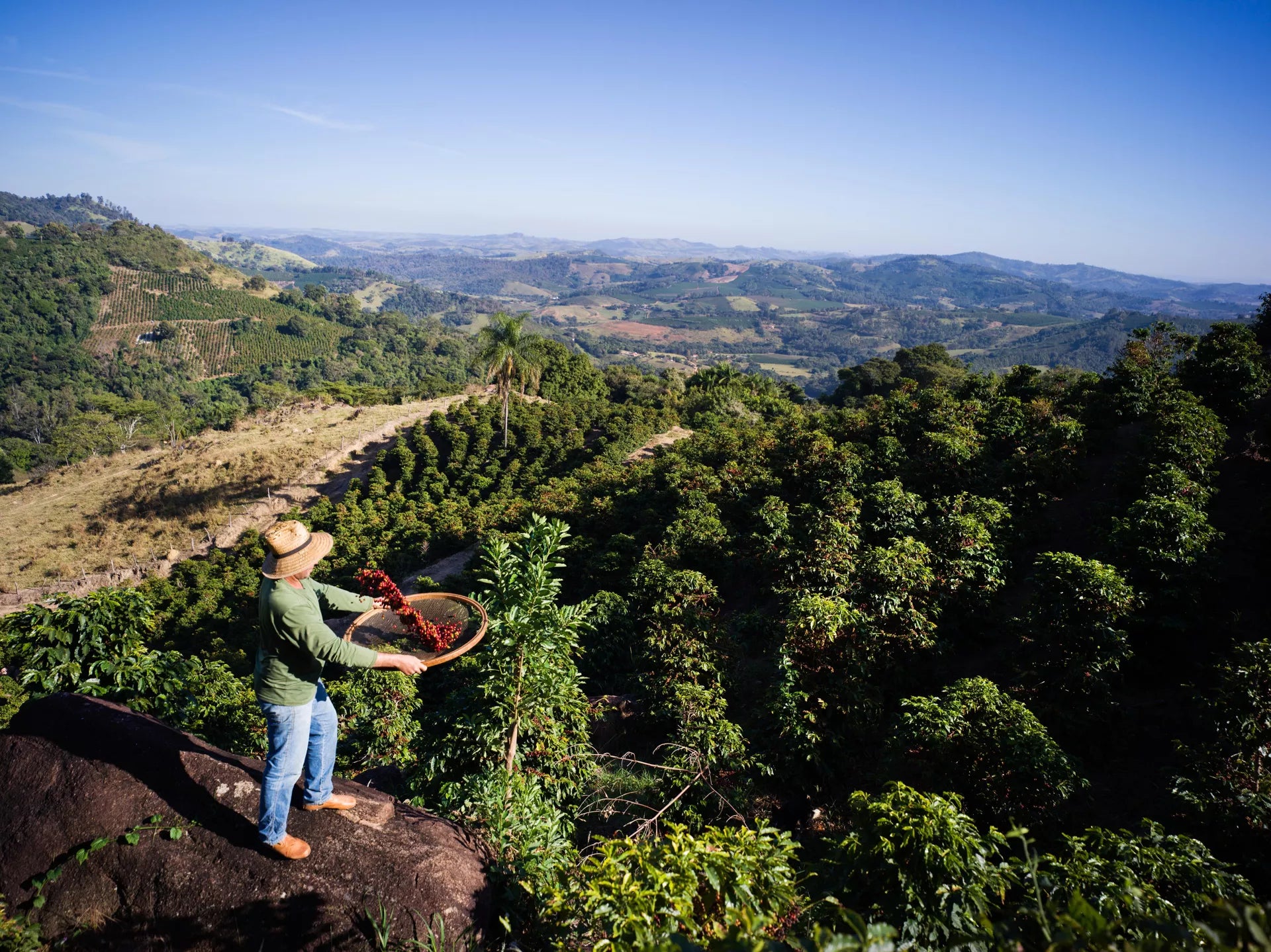 BRESIL EXPRESSO 25''