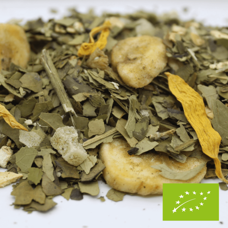 Maté mes Caraïbes BIO*