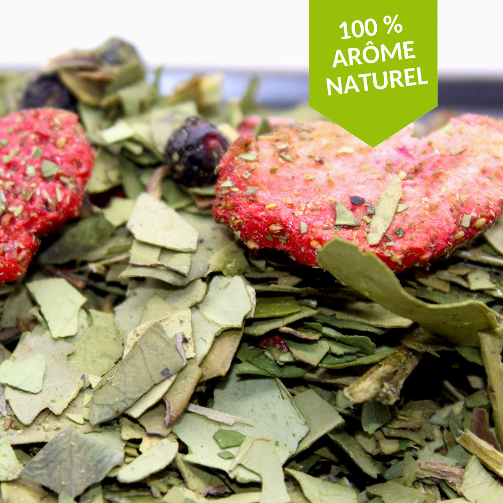 Un automne dans la Pampa - Maté Myrtille Fraise