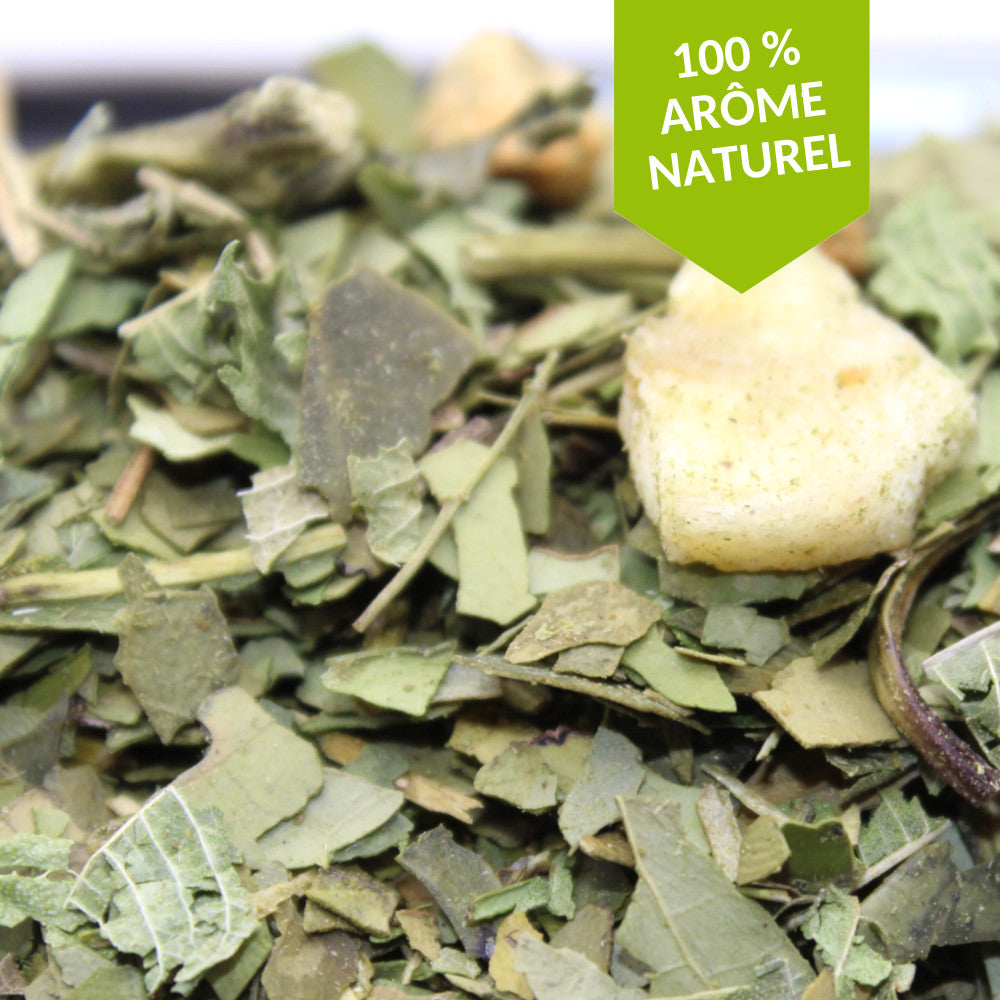 Un printemps dans la Pampa - Maté Pomme Banane