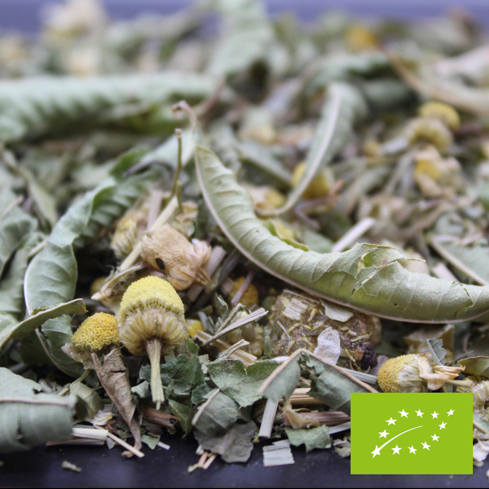 Infusion J'ai trop forcé BIO*