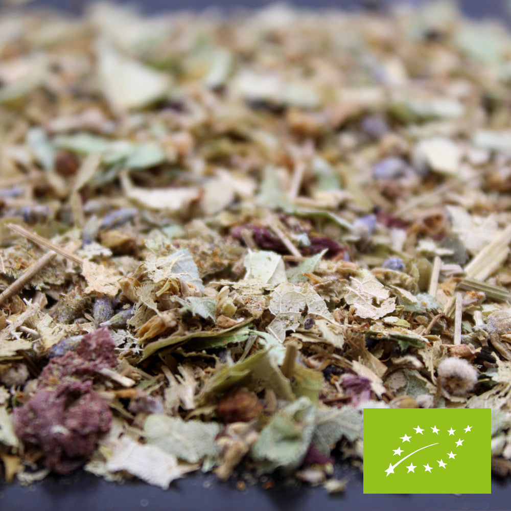 Rêves et veillées BIO*