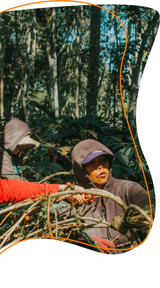 photo de plusieurs producteurs au travail