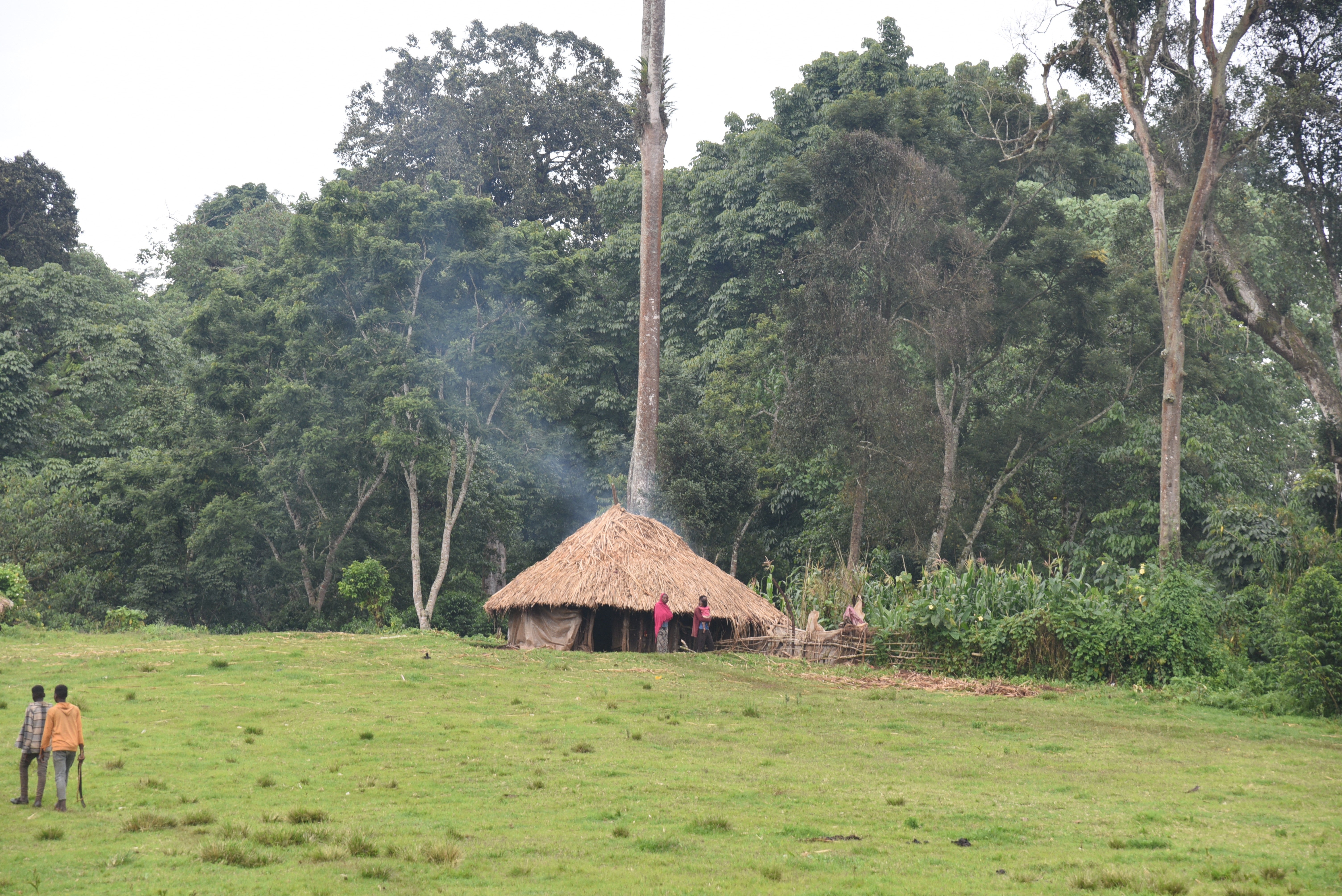 ETHIOPIE GUNDIRA SHELA